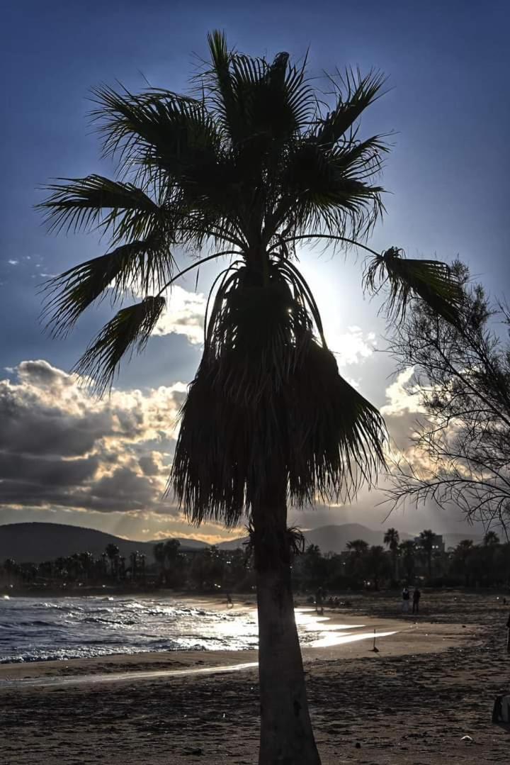 Vacances En Paradis Saint-Raphael (Var) Exterior foto