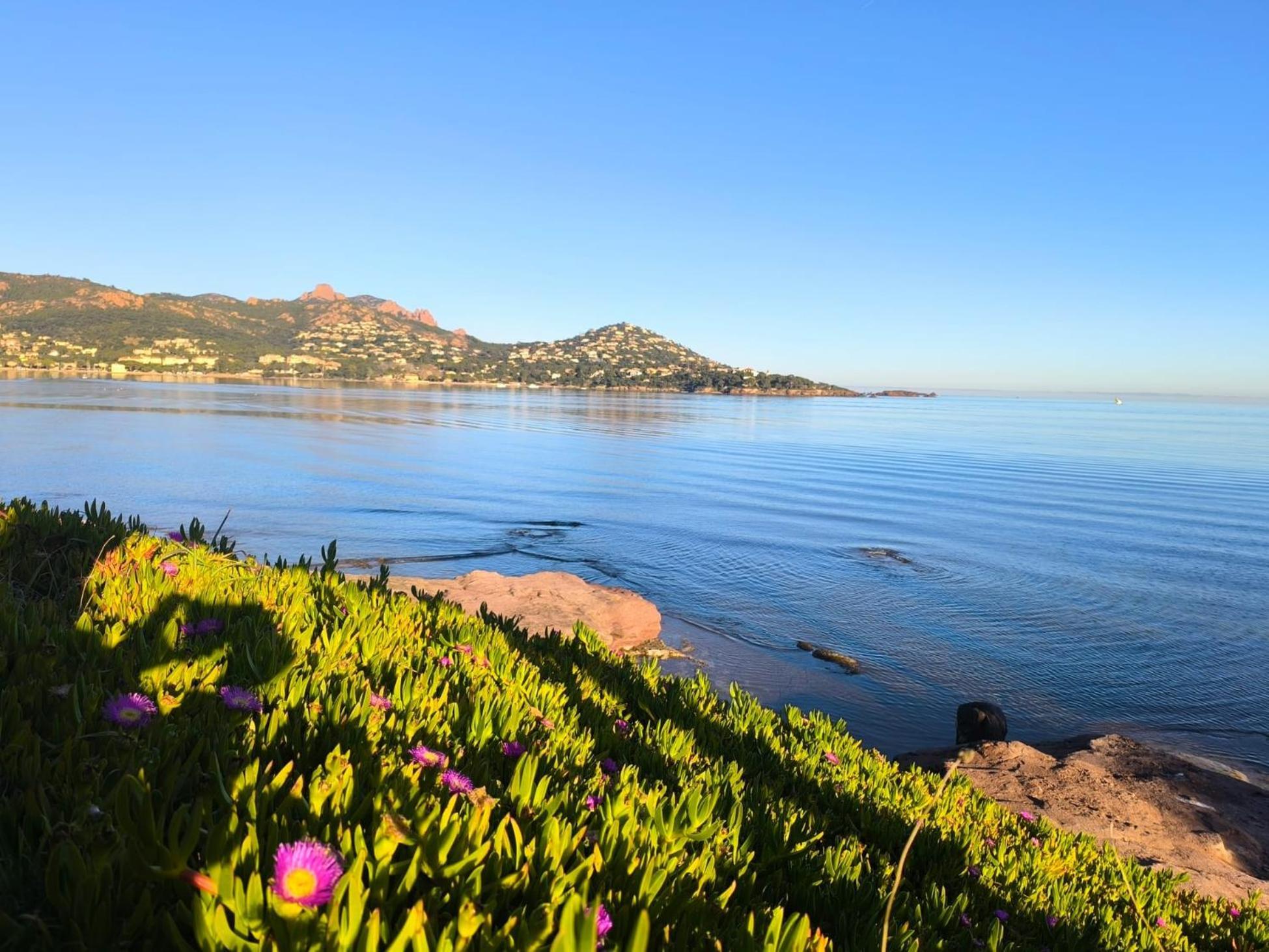 Vacances En Paradis Saint-Raphael (Var) Exterior foto